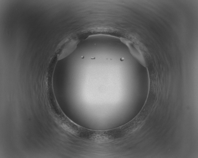 X0000084040207200702232334