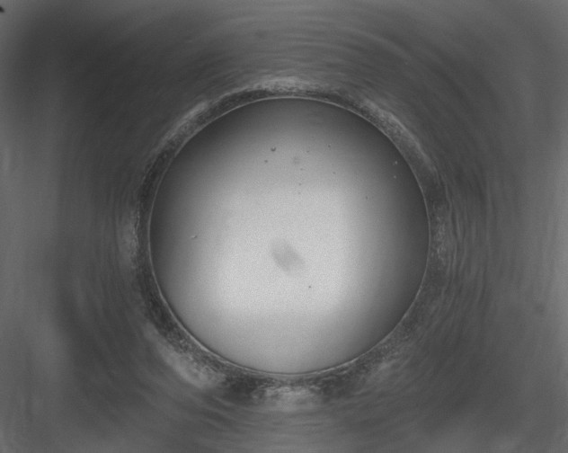 X0000084040208200702232334