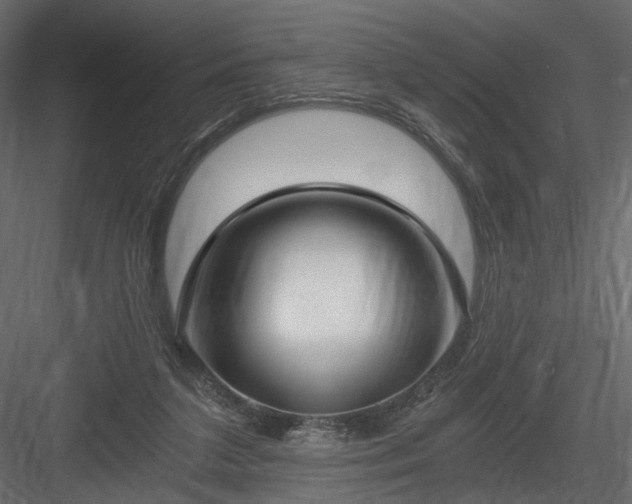 X0000084040211200702232333