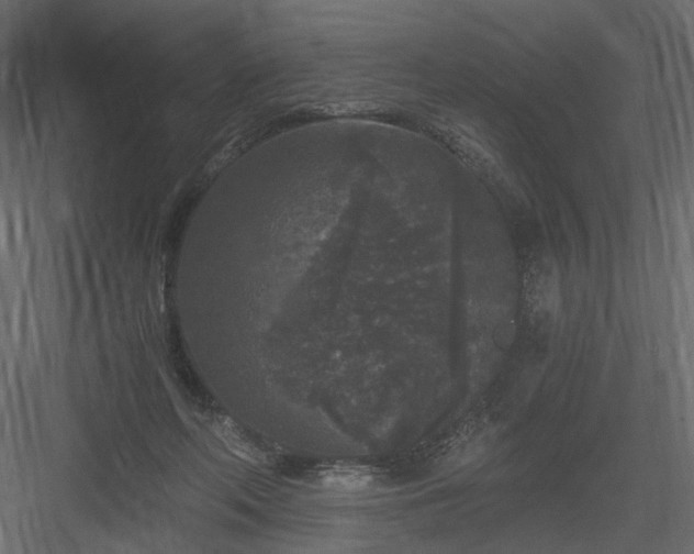 X0000084040214200702232333