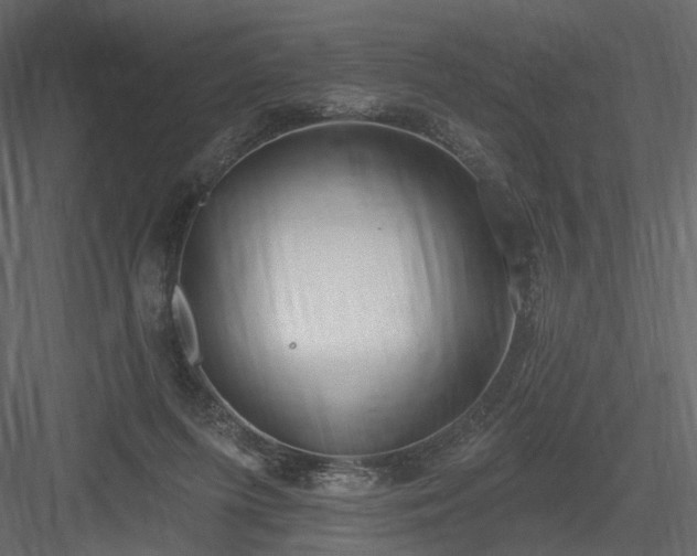 X0000084040215200702232333