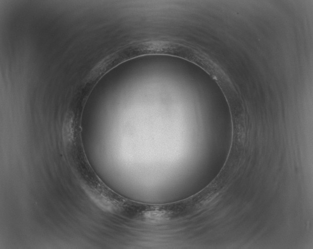 X0000084040216200702232333