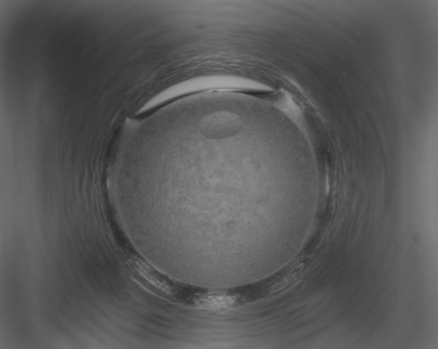 X0000084040217200702232333