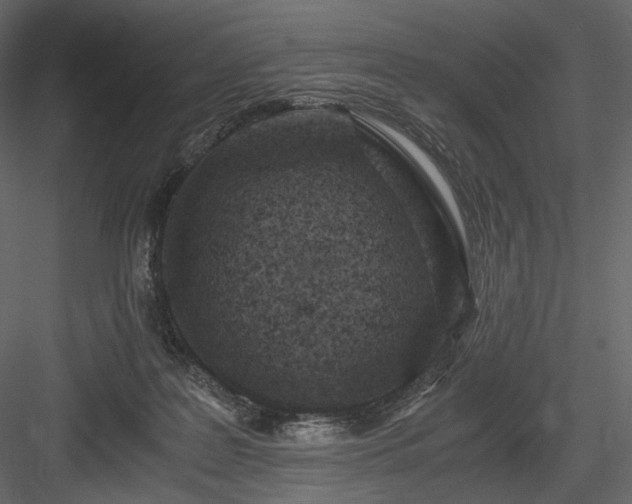 X0000084040219200702232333