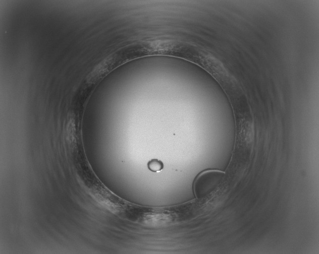 X0000084040220200702232333