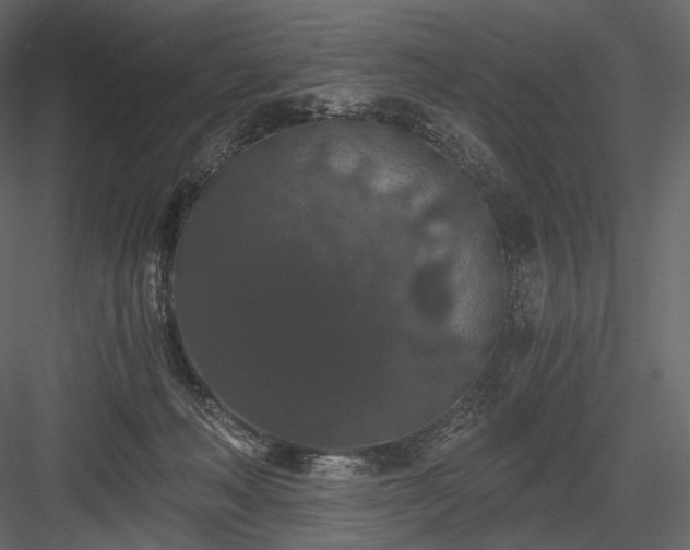 X0000084040222200702232333