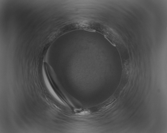 X0000084040223200702232333