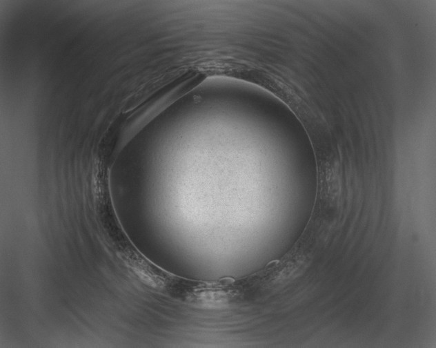 X0000084040228200702232333