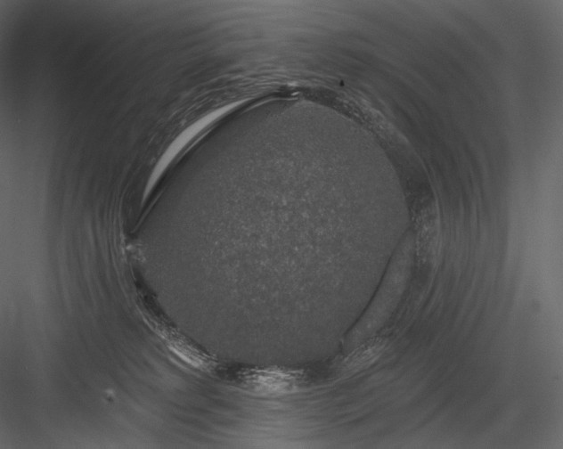 X0000084040229200702232333