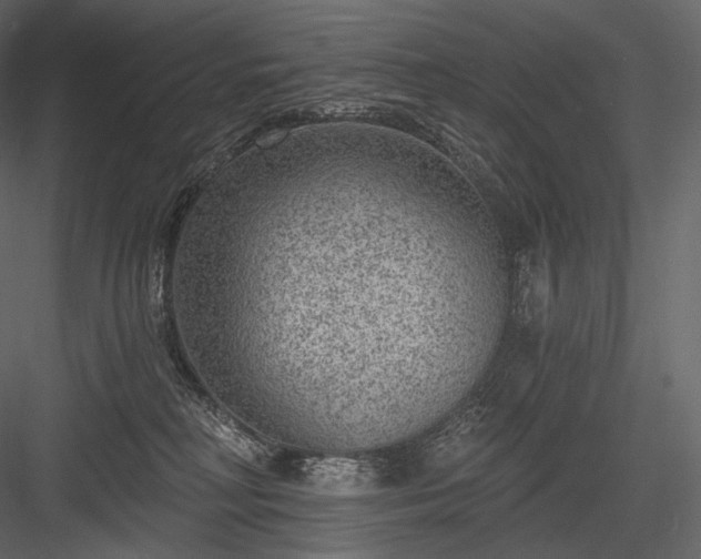 X0000084040230200702232333