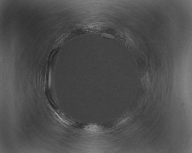 X0000084040231200702232333