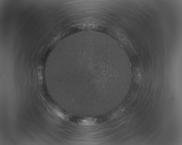 X0000084040232200702232333