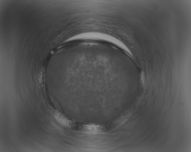 X0000084040233200702232333