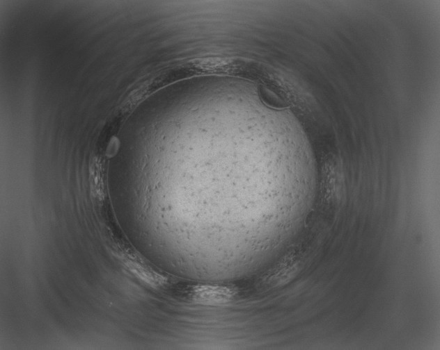 X0000084040234200702232333