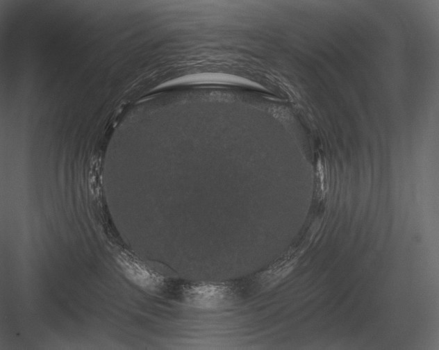 X0000084040237200702232333