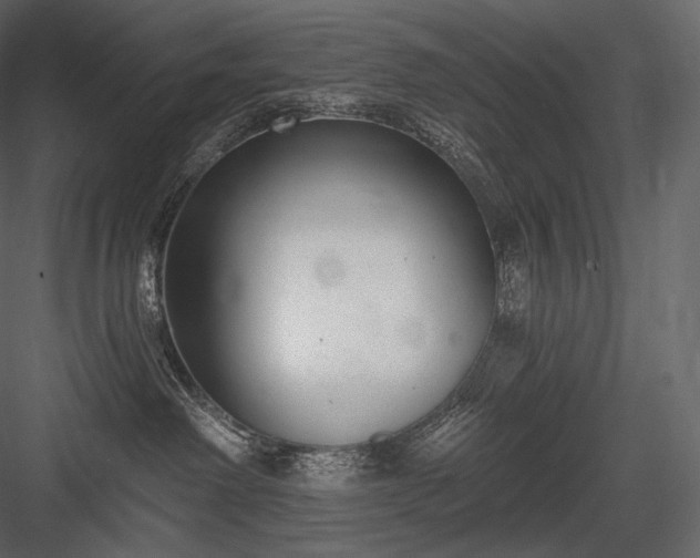 X0000084040238200702232333