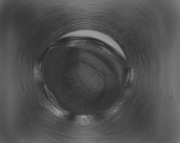 X0000084040239200702232333