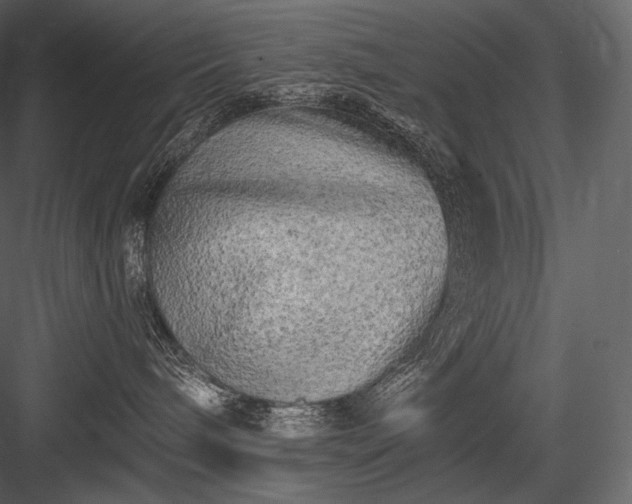 X0000084040240200702232333