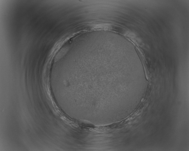 X0000084040241200702232332