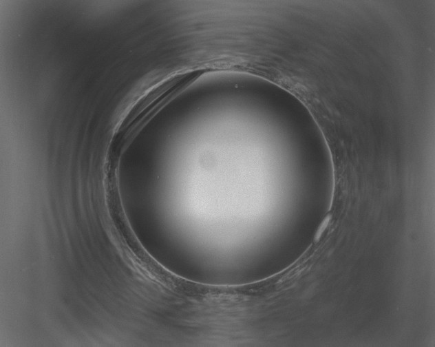 X0000084040242200702232332