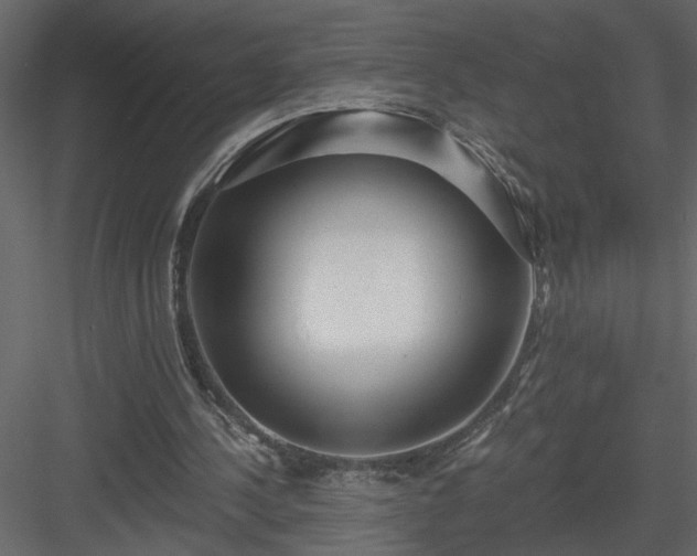 X0000084040244200702232332