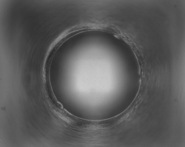 X0000084040246200702232332