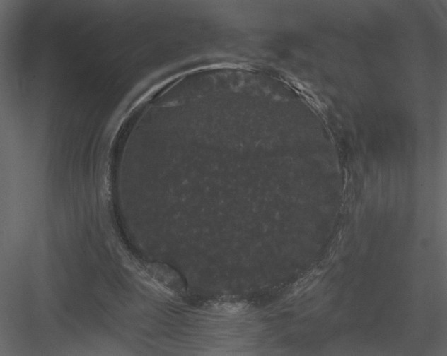 X0000084040247200702232332