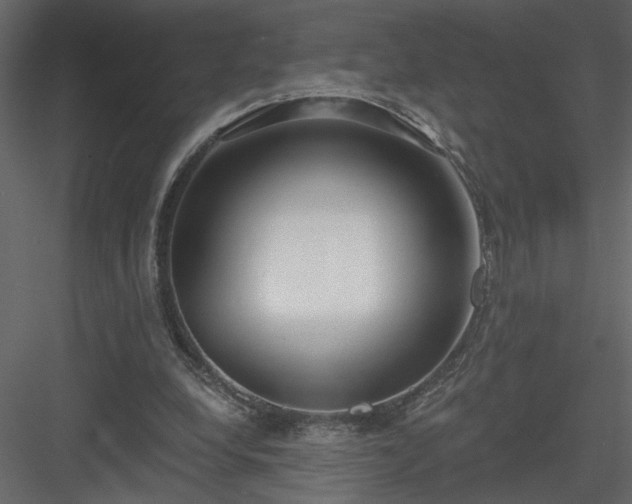 X0000084040248200702232332