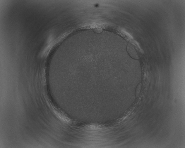 X0000084040250200702232332