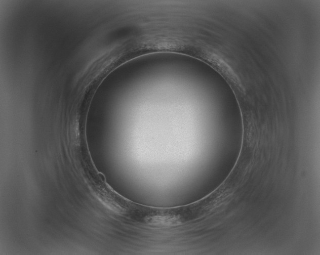 X0000084040251200702232332