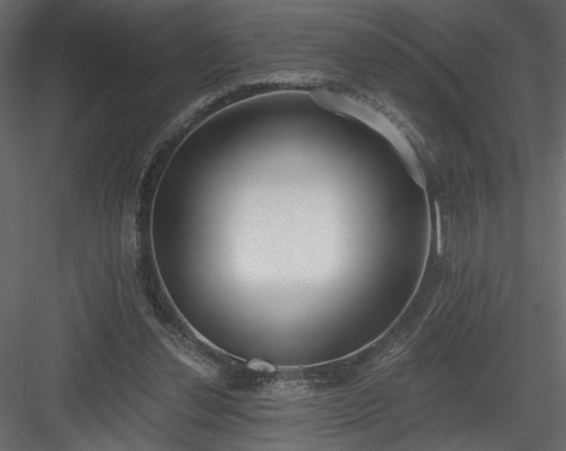 X0000084040252200702232332