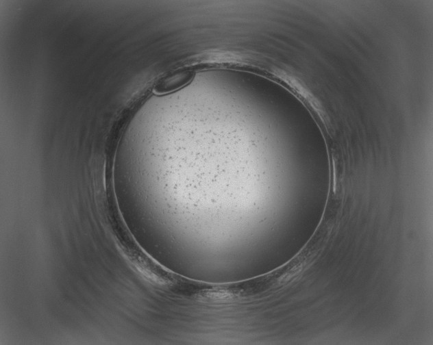 X0000084040253200702232332