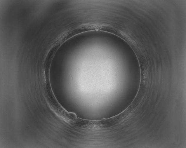 X0000084040254200702232332