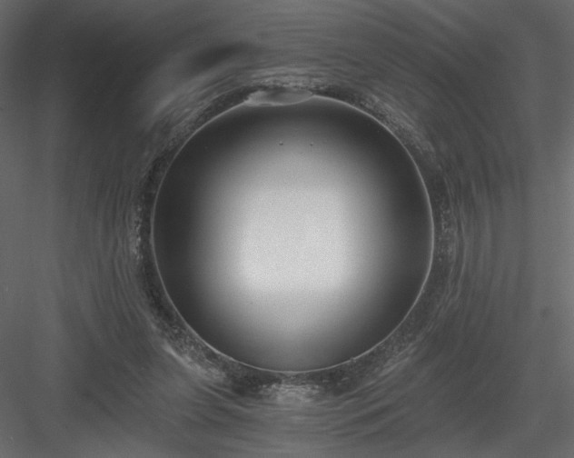 X0000084040255200702232332