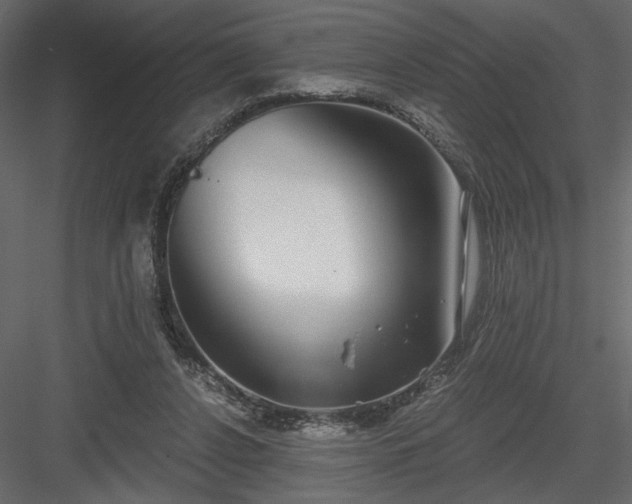 X0000084040256200702232332