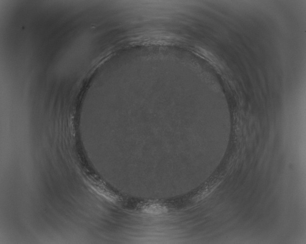 X0000084040258200702232332