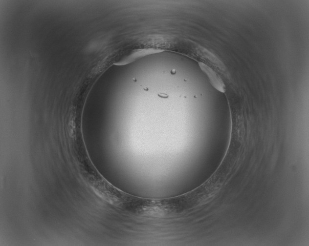 X0000084040259200702232332