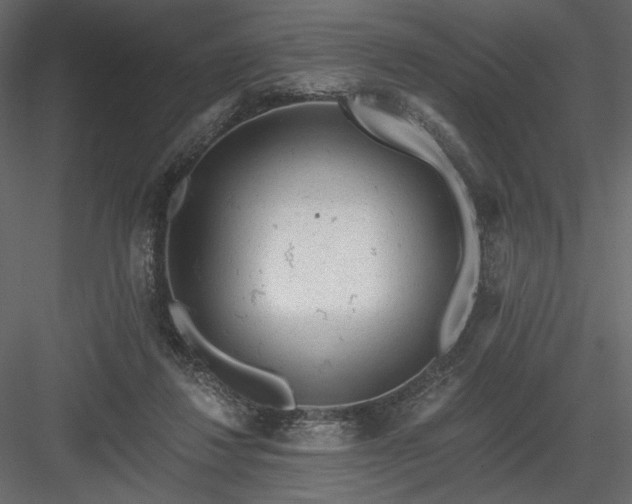 X0000084040260200702232332