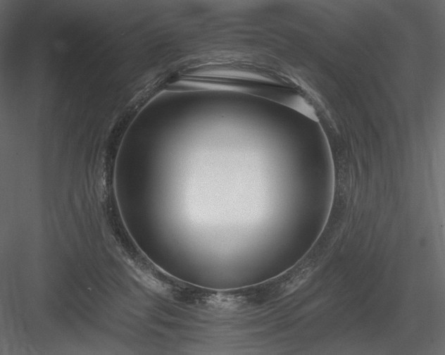 X0000084040261200702232332