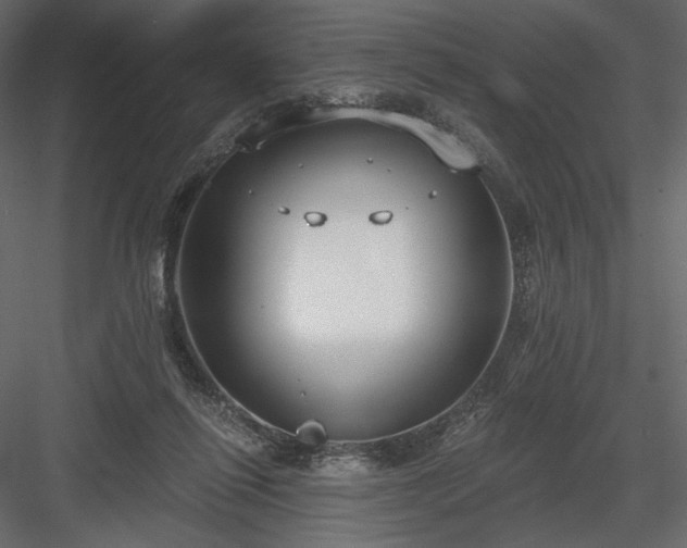 X0000084040262200702232332