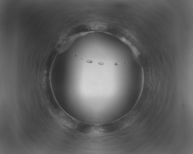 X0000084040263200702232333