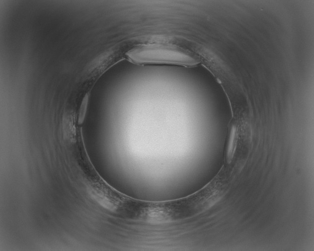 X0000084040264200702232333