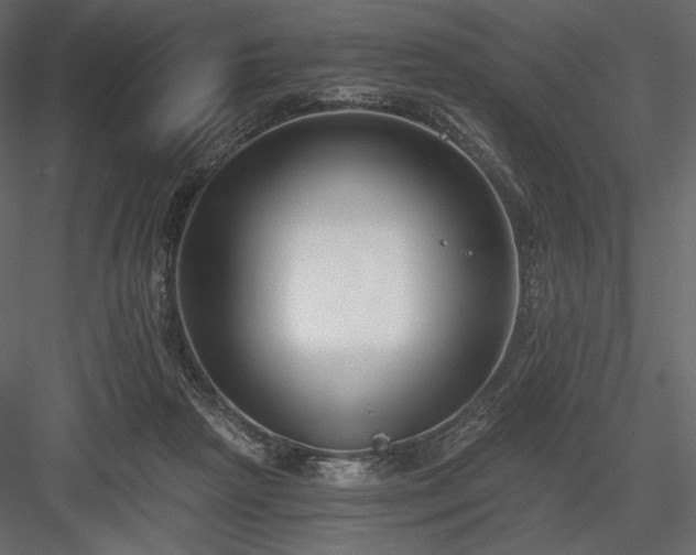 X0000084040265200702232333