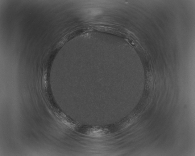 X0000084040267200702232333