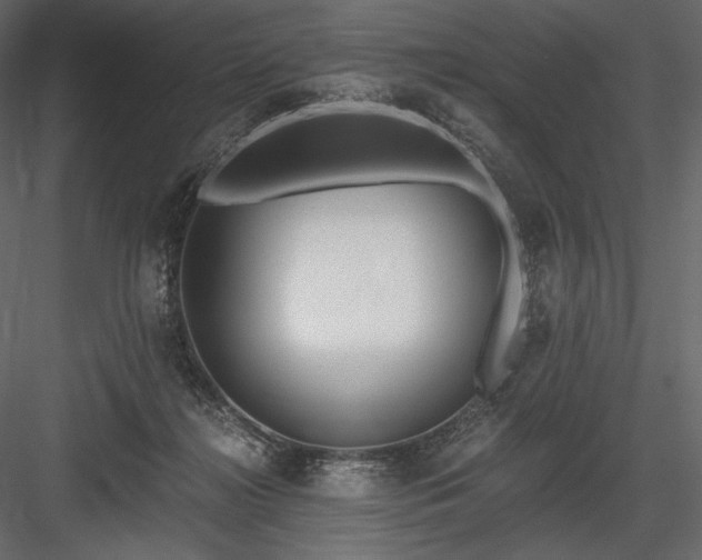 X0000084040268200702232333