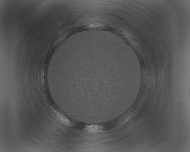 X0000084040269200702232333