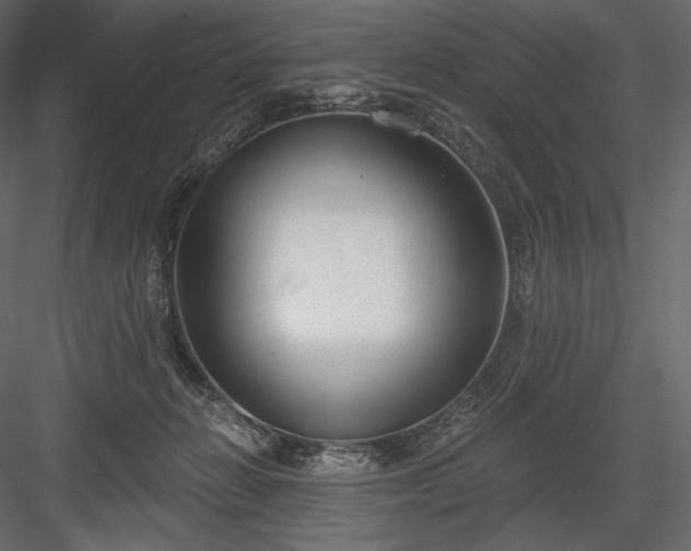 X0000084040270200702232333