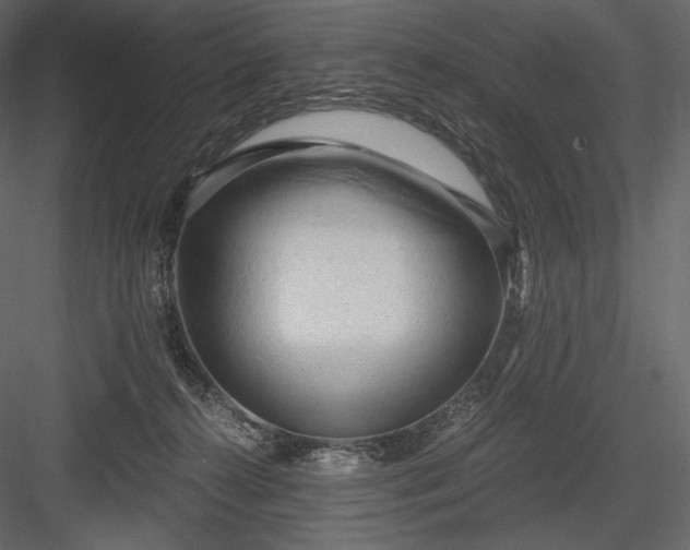 X0000084040272200702232333