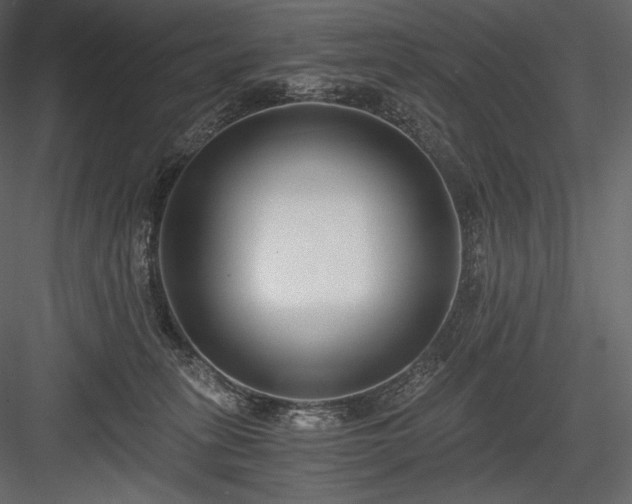 X0000084040275200702232333