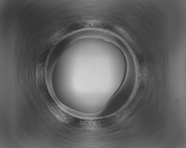 X0000084040276200702232333